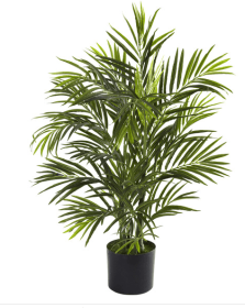 2.5' Areca Palm UV Resistant (Indoor/Outdoor)