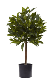 2' Sweet Bay Mini Ball Topiary