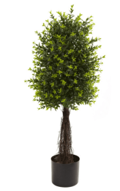35'' Ixora Topiary UV Resistant (Indoor/Outdoor)