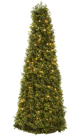 39â€ Boxwood Cone w/Lights
