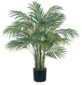 3' Areca Silk Palm Tree