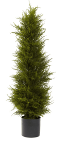 42â€ Cedar Tree
