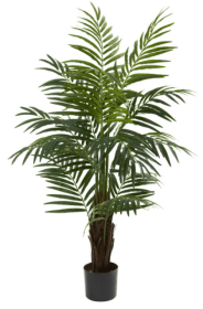 4â€™ Areca Palm Tree