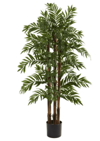 4â€™ Parlour Palm Tree