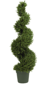 4' Rosemary Spiral Silk Tree (Indoor/Outdoor)