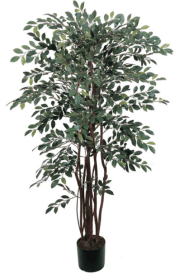4' Ruscus Silk Tree