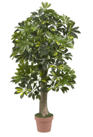 4â€™ Schefflera Silk Tree (Real Touch)