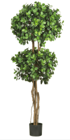 5.5' Eucalyptus Double Ball Topiary Silk Tree