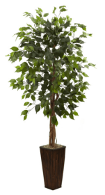 5.5â€™ Ficus Tree w/Bamboo Planter