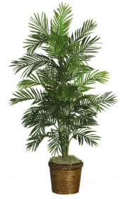 56" Areca Palm Silk Tree w/Basket