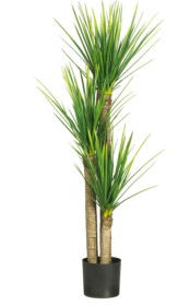 58.5" Yucca Silk Tree