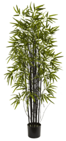 5â€™ Black Bamboo Tree