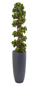 5â€™ English Ivy Spiral Topiary Tree in Gray Cylinder Planter UV Resistant (Indoor/Outdoor)