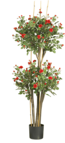 5' Mini Rose Silk Tree
