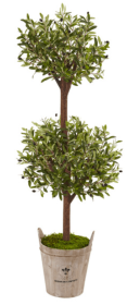 5â€™ Olive Tree in Farmhouse Planter