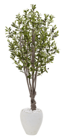 5â€™ Olive Tree in White Oval Planter