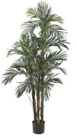 5' Robellini Palm Silk Tree