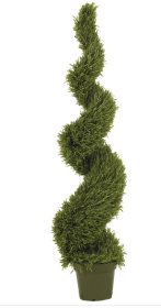5' Rosemary Spiral Silk Tree (In-door/Out-door)