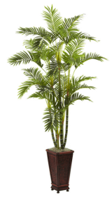 6.5â€™ Areca w/Decorative Planter