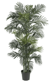 6.5' Golden Cane Palm Silk Tree