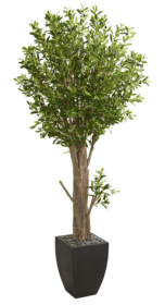6.5' Olive Artificial Tree in Black Planter