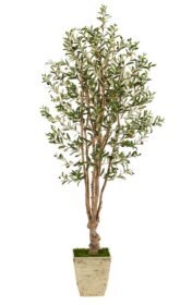 6.5â€™ Olive Artificial Tree in Country White Planter