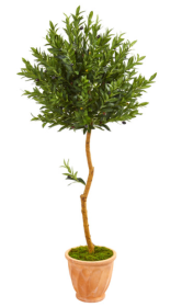 63â€ Olive Topiary Artificial Tree in Terra Cotta Planter UV Resistant (Indoor/Outdoor)