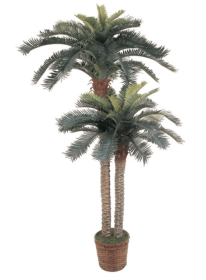 6' & 4' Sago Palm Double Potted Silk Tree