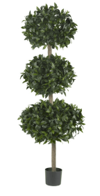 69" Sweet Bay Triple Ball Tree