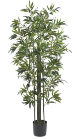 6' Bamboo Silk Tree (Green Trunks)