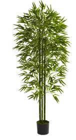 6' Bamboo Tree UV Resistant (Indoor/Outdoor)