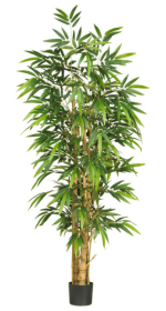 6' Belly Bamboo Silk Tree