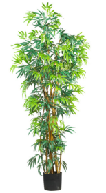 6'  Fancy Style Bamboo Silk Tree