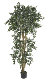 6' Green Ash Silk Tree
