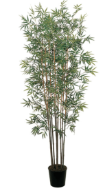 6' Mini Bamboo Silk Tree