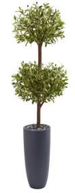 6â€™ Olive Double Tree in Gray Cylinder Planter