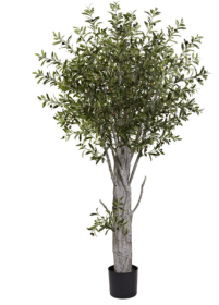 6â€™ Olive Tree W/3864 Lvs