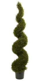 6' Rosemary Spiral Tree (Indoor/Outdoor)