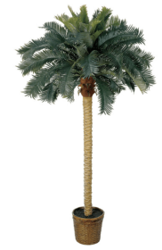 6' Sago Palm Silk Tree