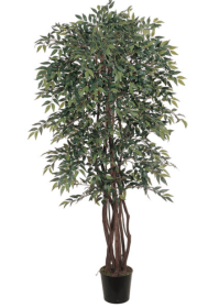 6' Smilax Silk Tree