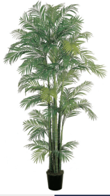 7' Areca Silk Palm Tree