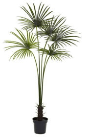 7â€™ Fan Palm Tree UV Resistant (Indoor/Outdoor)