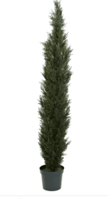 7' Mini Cedar Pine Tree w/3614 Tips in 12â€ Pot (Two Tone Green)