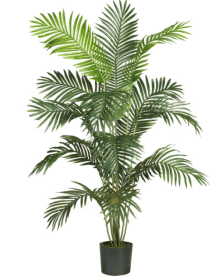 7' Paradise Palm