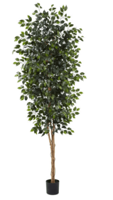 8â€™ Ficus Tree w/1512 Lvs