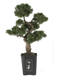 Cedar Bonsai 36" Silk Plant
