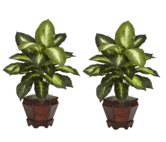 Dieffenbachia w/Wood Vase Silk Plant (Set of 2)
