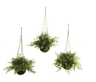 Eucalyptus, Maiden Hair & Berry Hanging Basket (Set of 3)