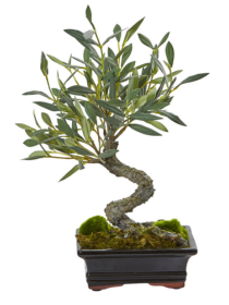 Mini Olive Artificial Bonsai Tree