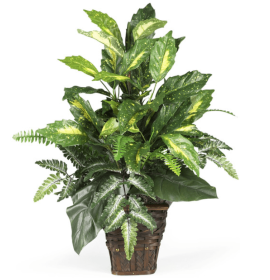Mixed Greens w/Wicker Silk Plant